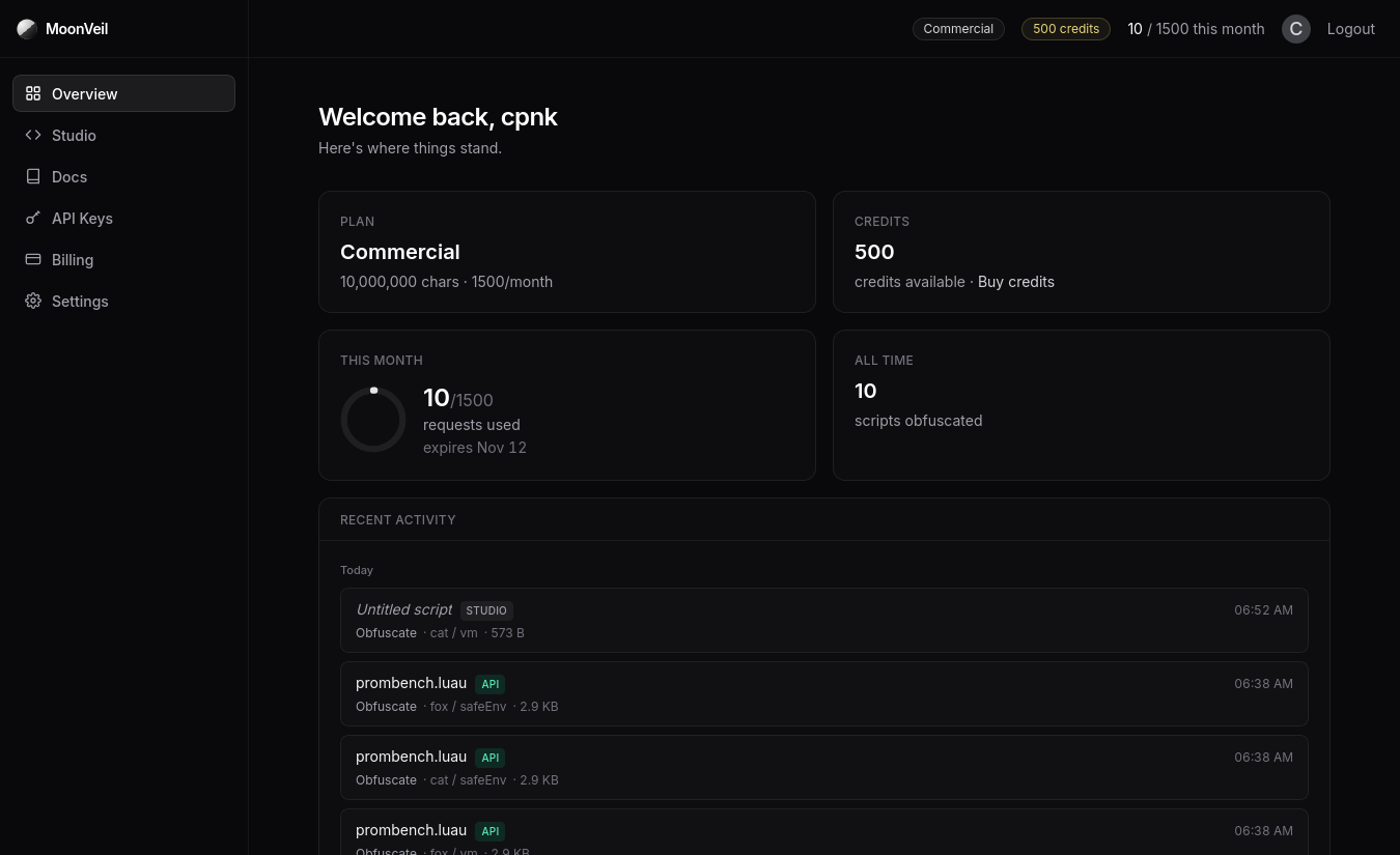 The dashboard overview tab showing plan, credits, monthly usage, and recent activity